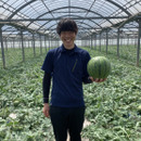 徳永農園