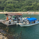 三浦水産