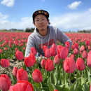 農園 陽だまりの芽