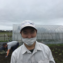 ひよせ