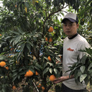 木下農園