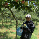 山清農園