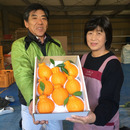 山崎農園