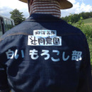 辻岡農園