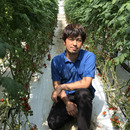 斉藤農園 斉藤雅通