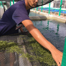 シーグレープ宮古島