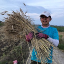 本村製麺工場