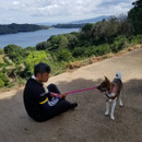 大將一派
