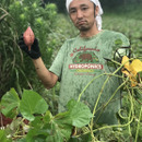 種子島 島のたべもの