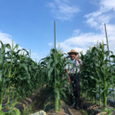 えちごfarm family