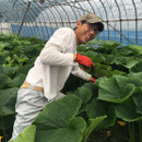 なかの農園