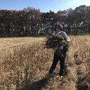 千歳わくわくわくファーム