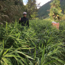 みよしファーム