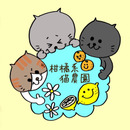 柑橘系猫農園