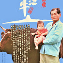 伊江牛