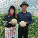 山一ファーム