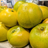 露地もの！岐阜県産『晩白柚』（ひと玉約1.5kg）