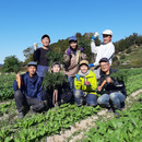 オーガニック農園 しあわせ野菜畑