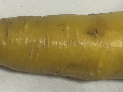 彩りにんじん3色セット　5kg