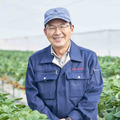 越後姫一筋25年 斉藤いちご園
