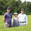 伊地知製茶 月野庭