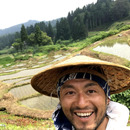 Natural Rice Field 郷彩