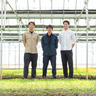 SHONAI ROOTS