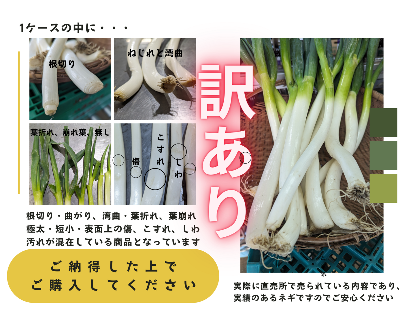 【日本製】 食費削減ネギ！訳ありS～2L(5kg)：静岡県産のねぎ｜食べチョク 野菜