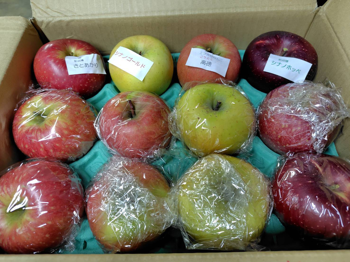 リンゴ食べ比べ🍎3キロ箱 6玉〜15玉サイズ 商品ID48414 長野県