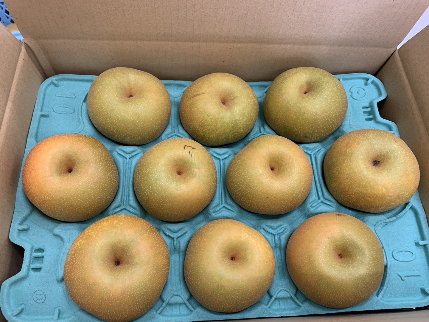 今が旬！驚きの甘さ】富山県呉羽梨-幸水-10kg 16〜24玉【訳あり！大
