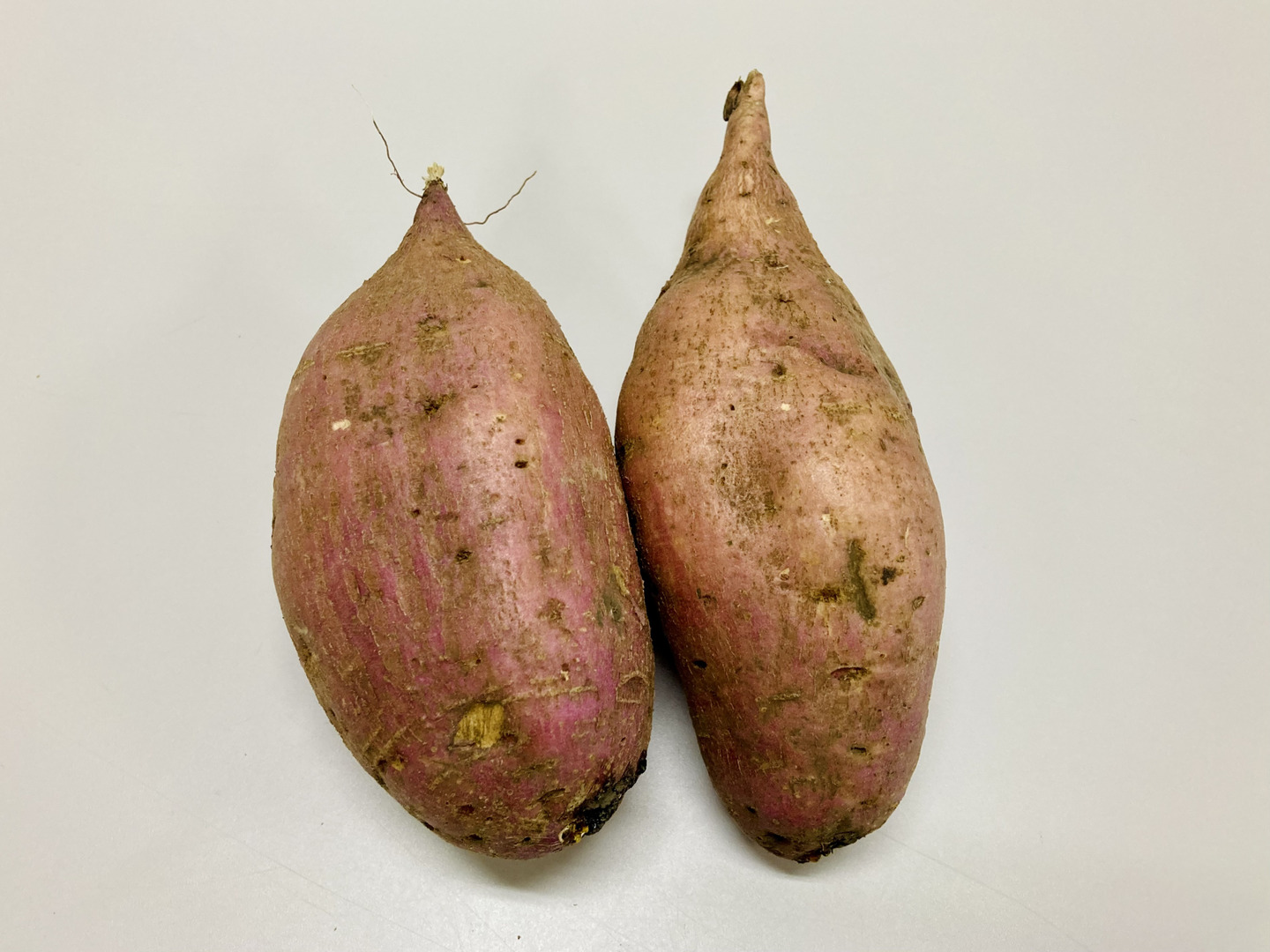 ねっとり濃厚密芋！！【安納芋約3キロ】：京都府産の安納芋