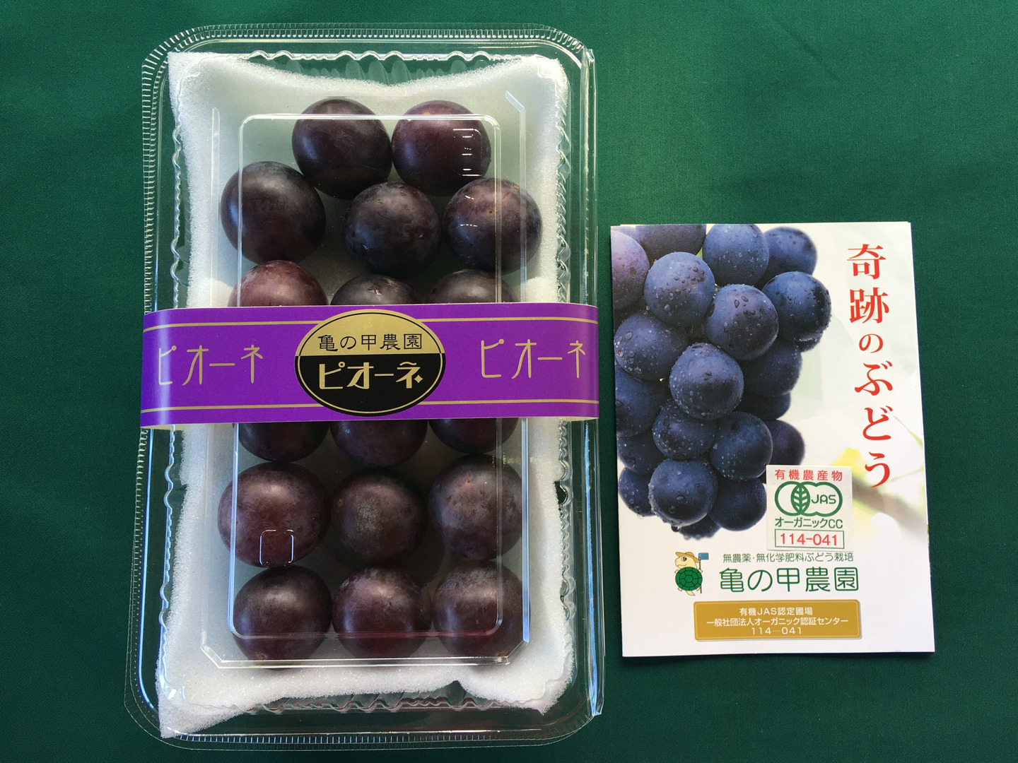 今ならほぼ即納！ 農薬不使用【新鮮な味わいのサイズ無選別粒ぶどう600g】有機JAS 野菜