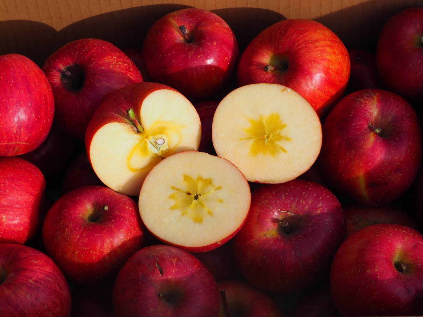 小玉りんご】完熟サンふじ🍎18〜22玉1日1個まるかじり：長野県