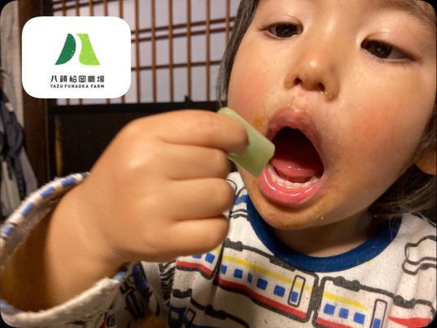 ききちゃん 白子筍 4キロ クール 楽天市場】タケノコ 朝掘り 京たけのこ ギフト 特選品 約4kg（4