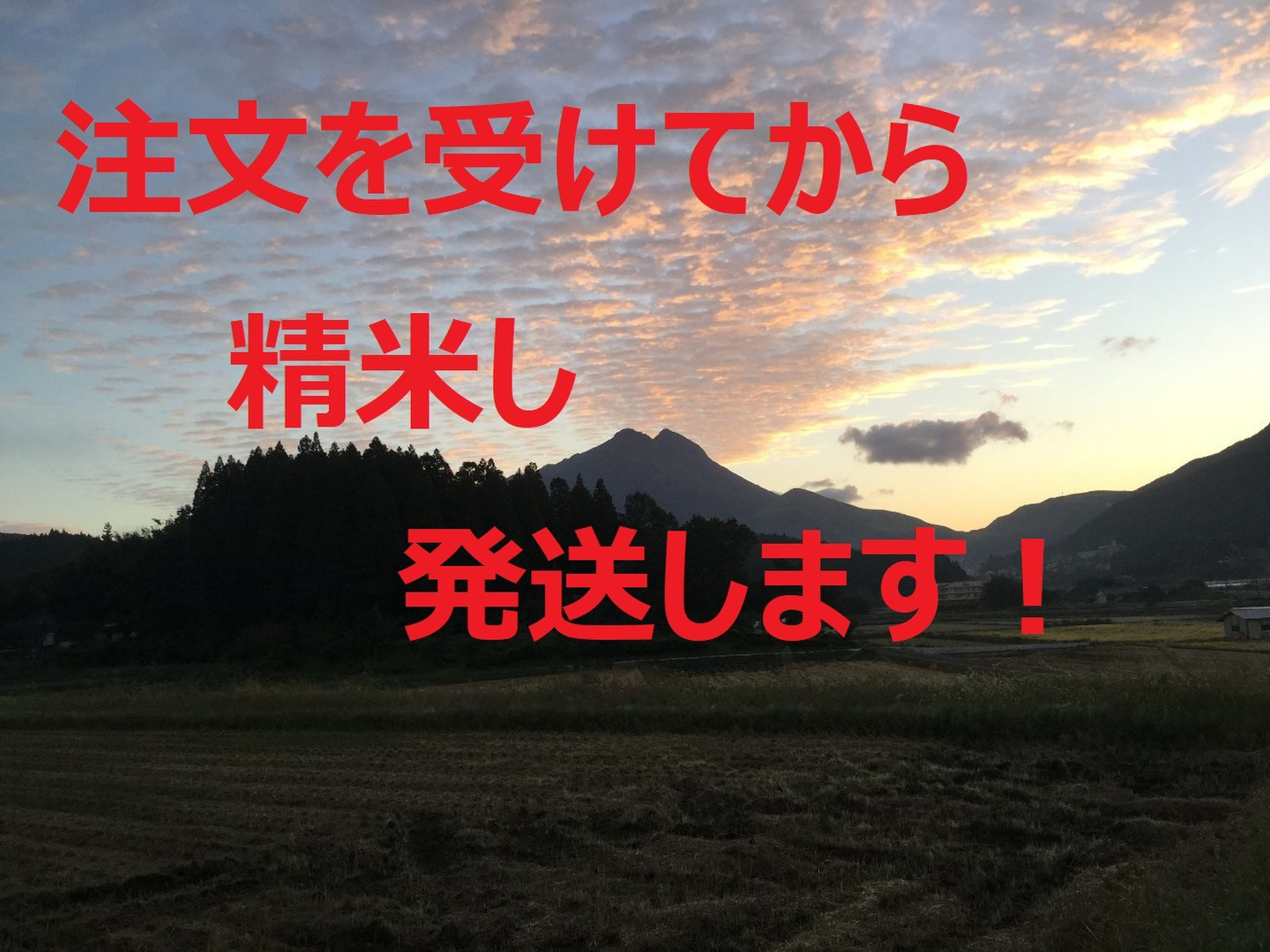 2024年産「ゆふいんのめぐみ」ひとめぼれ分つき精米10kg すべての商品 | ゆふいんのめぐみ