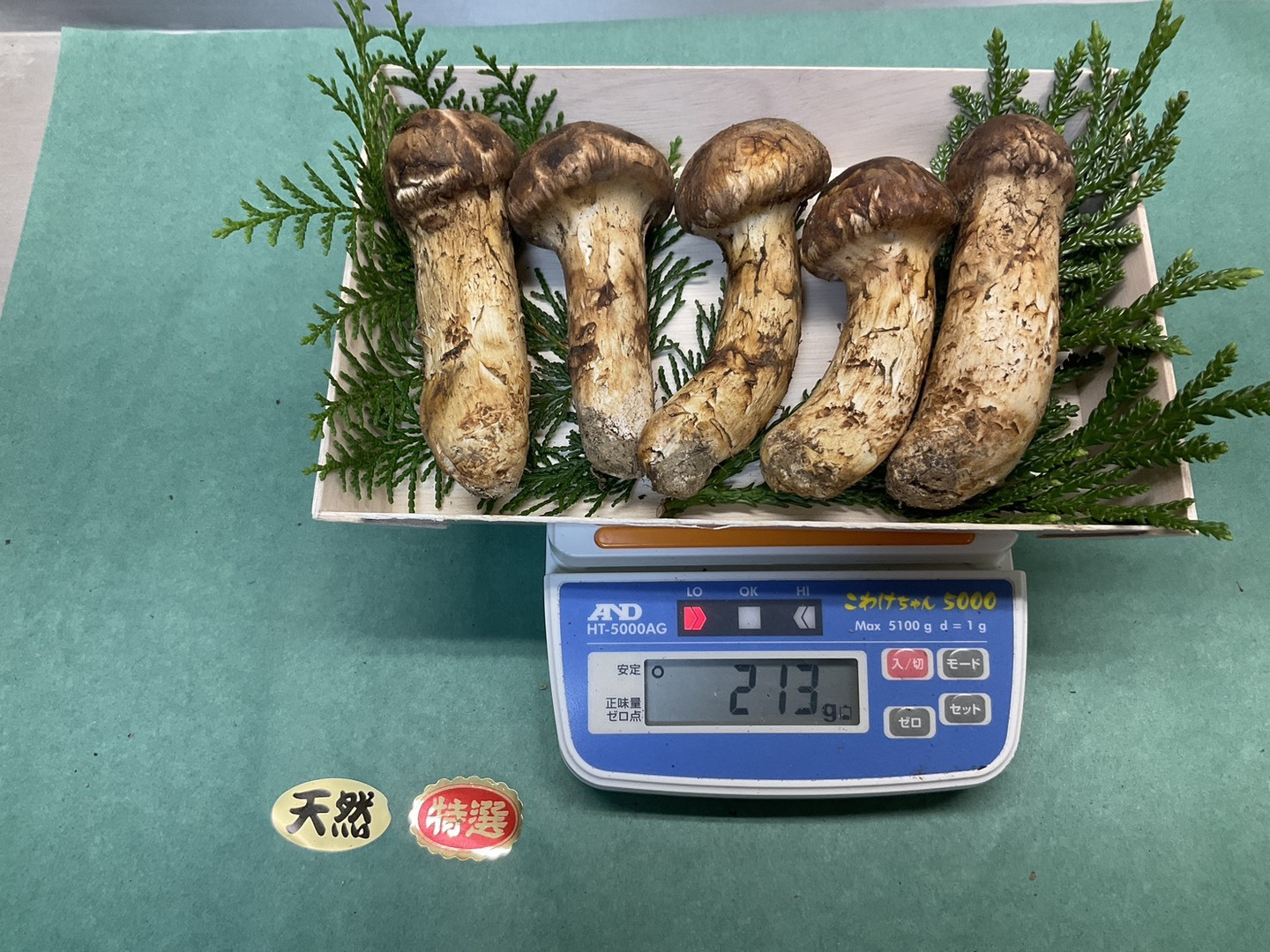 秋の味覚の王様】松茸/マツタケ/まつたけ/純国産/つぼみ/213g【極上