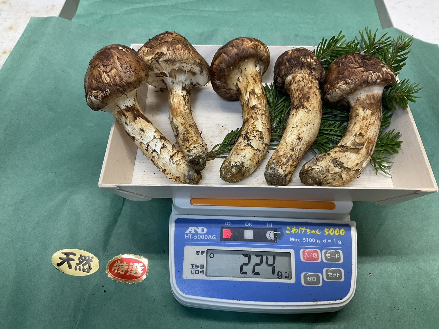 mm55cooo様‼️専用松茸350g 松茸 業務用」の人気商品一覧 | 安い商品を