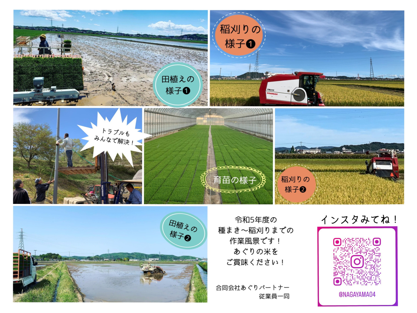 最高級のスーパー 令和5年産ひとめぼれ 10kg：宮城県産のお米｜食べチョク｜産地 米/穀物