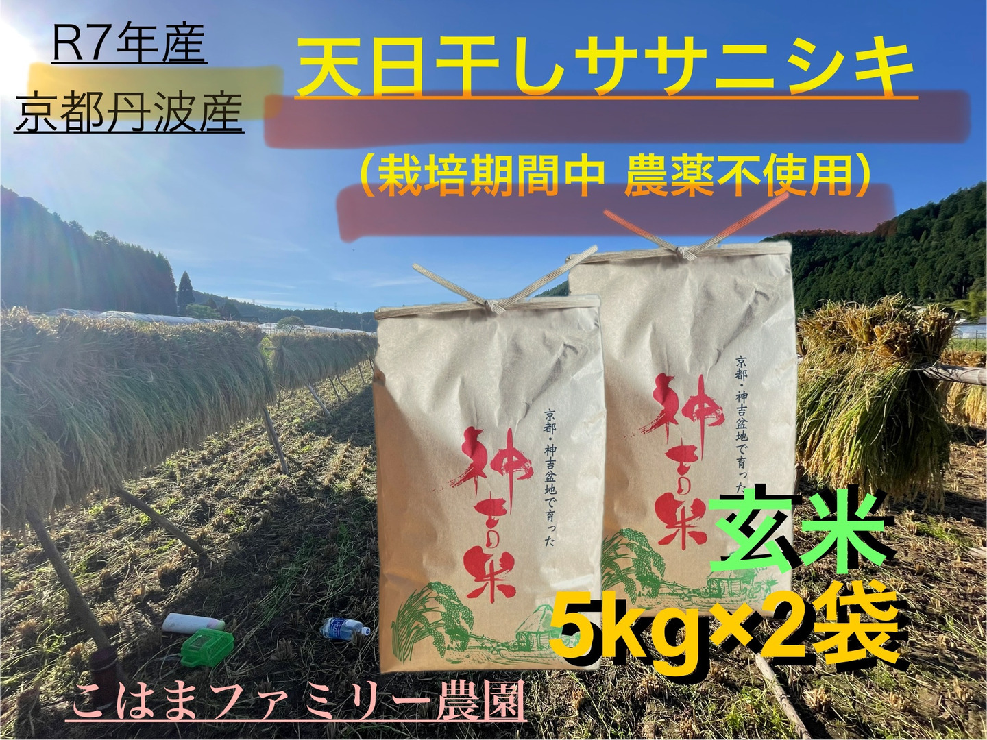 ブルー様専用☆天日干しササニシキ20kg玄米