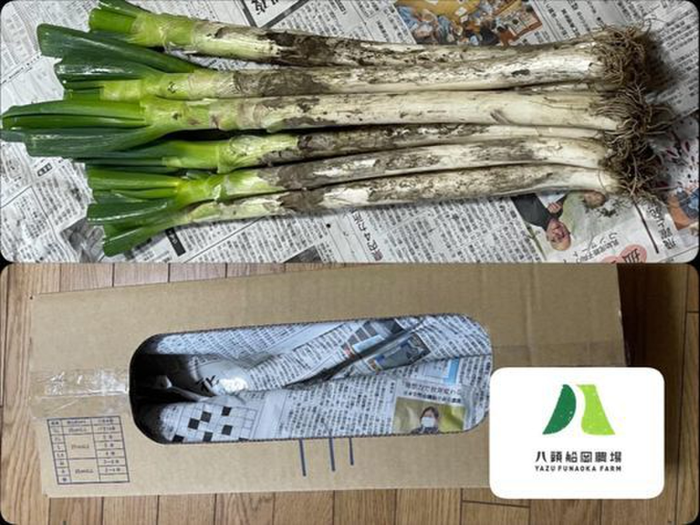 上品コーデはコレで安心！ 4a296401a8573a75264a5871306fb5 野菜