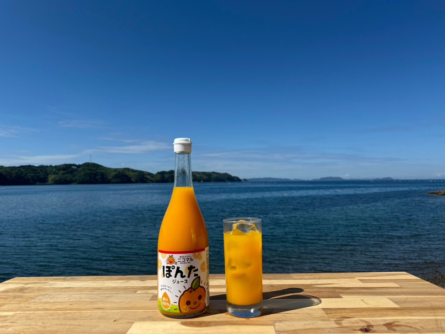 🍊選べるギフトセット🍊【ギフト用1本】 ぽんかんジュース：愛媛県産