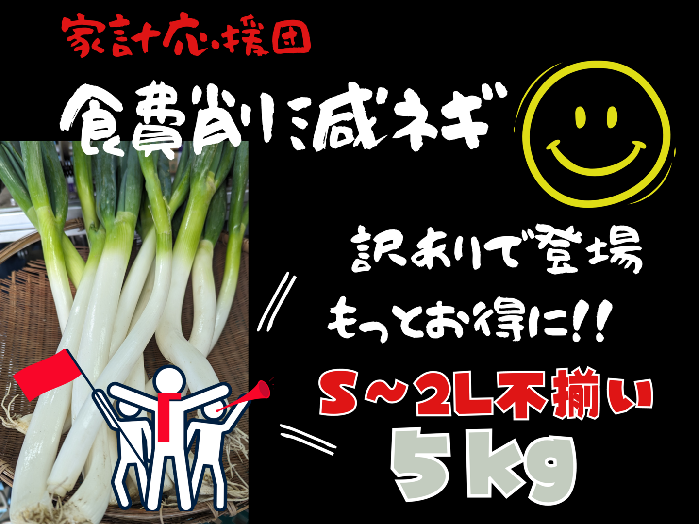 初売り初売り 食費削減ネギ！訳ありS～2L(5kg)：静岡県産のねぎ｜食べチョク 野菜