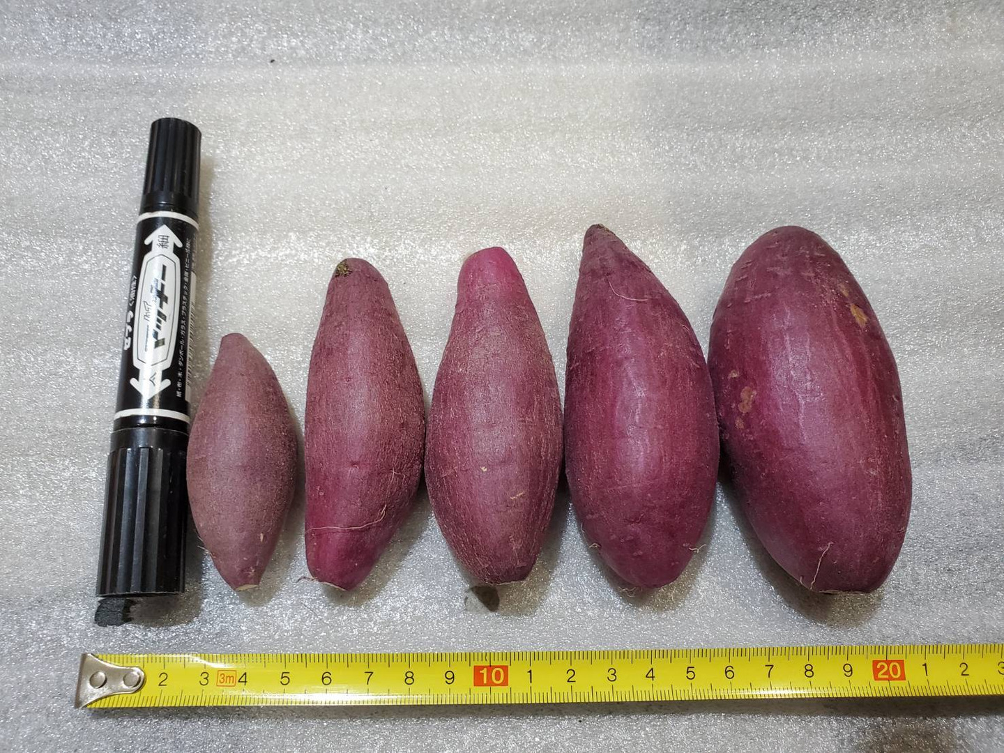 熟成紅はるかの小芋だけ詰込みました。60サイズ箱、約2.5kg入り