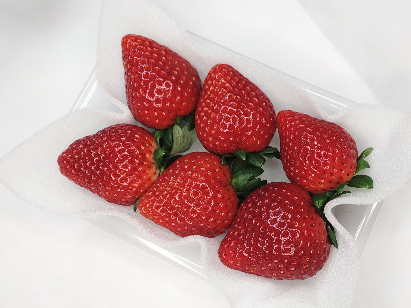 初めての「とちあいか」(特大)200〜230g(4〜7粒)×4p：栃木県産の
