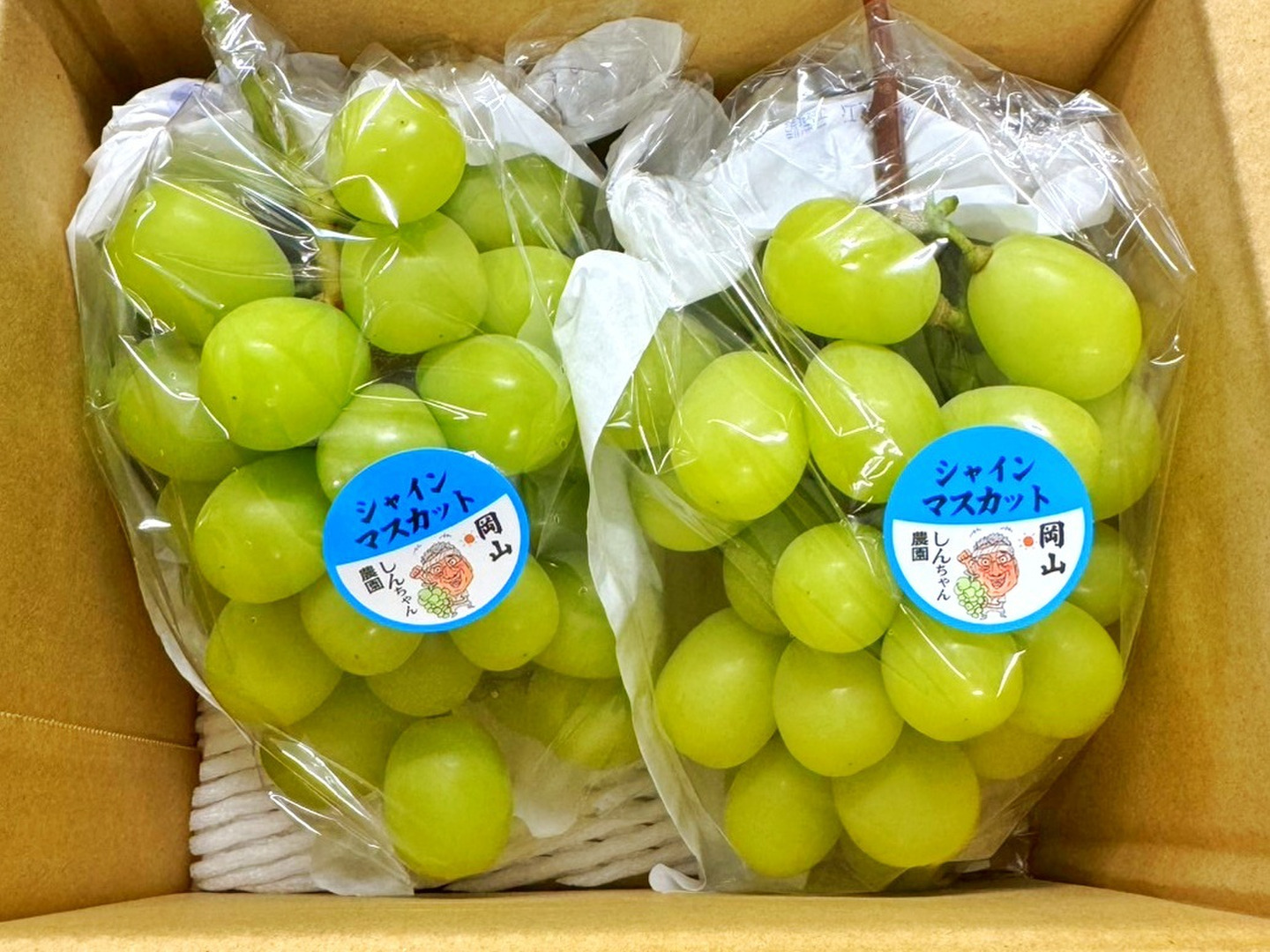 シャインマスカット家庭用特売クールプラス 訳ありご自宅用】シャインマスカット クール冷蔵便：岡山県産の