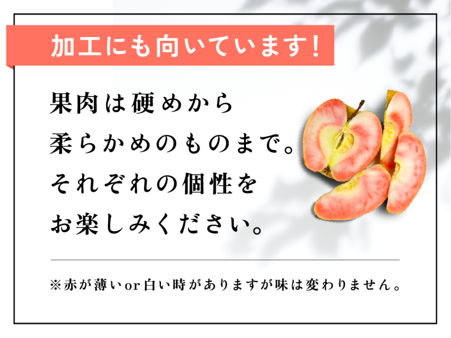 幻の林檎】NEWすっぱい系！ なかののきらめき 3キロ箱 6玉〜15玉