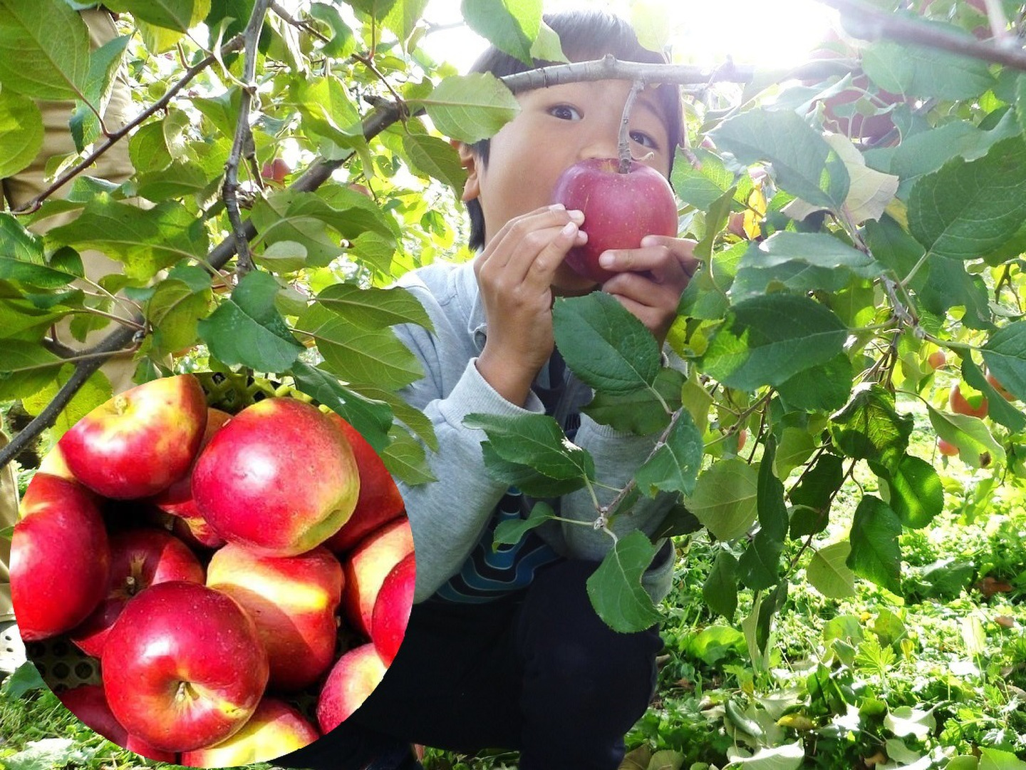 5e6ca48f69a640836a0d48564fa201