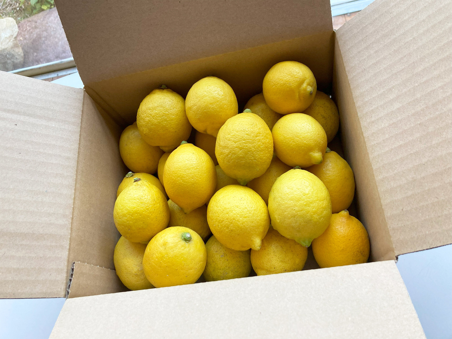 ワックス/防腐剤不使用 ミニミニ！レモンサワー1杯に1個が丁度いい