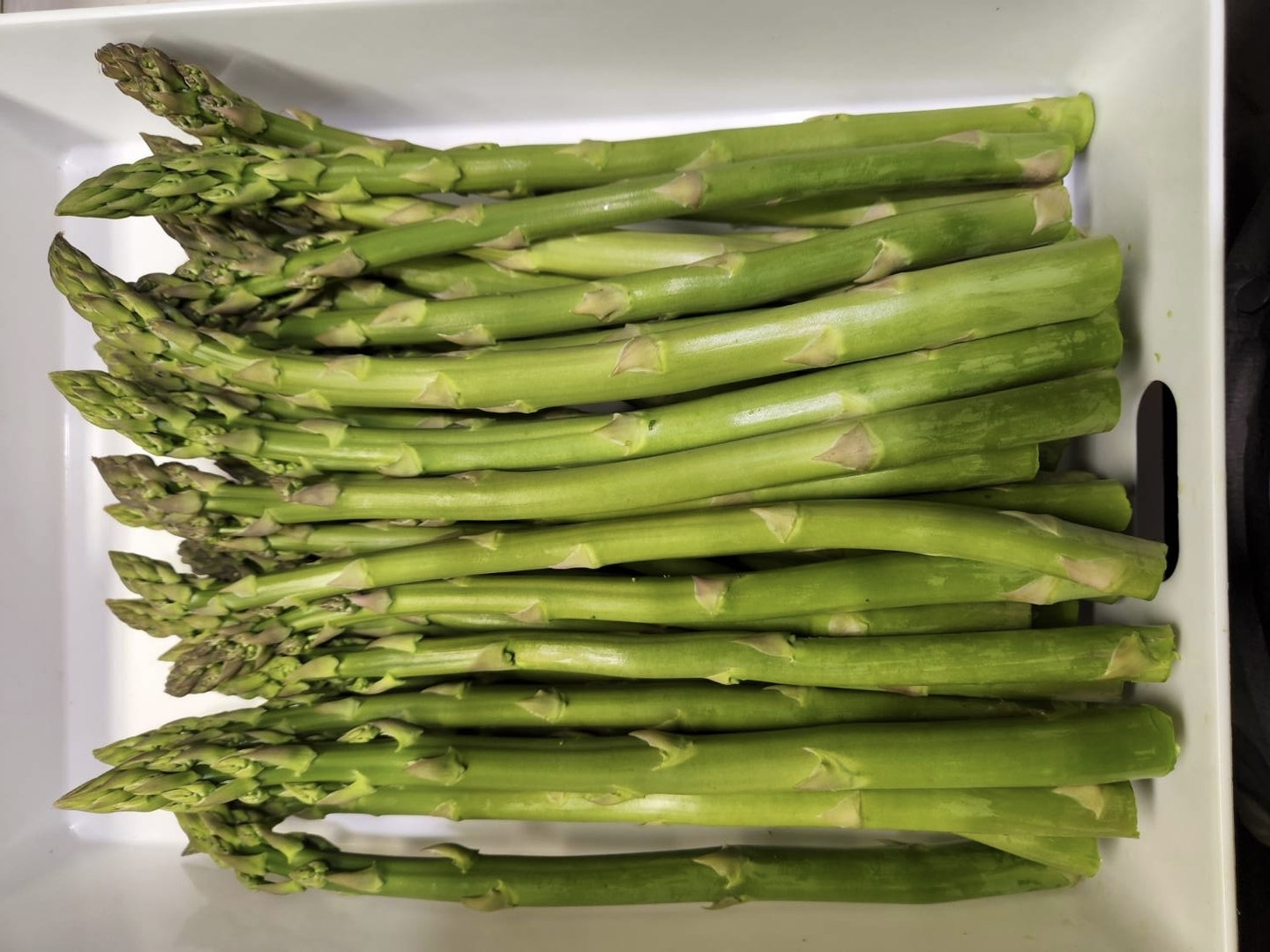 北海道産 訳あり規格外 M～2Lサイズ アスパラ！1 kg：北海道産の