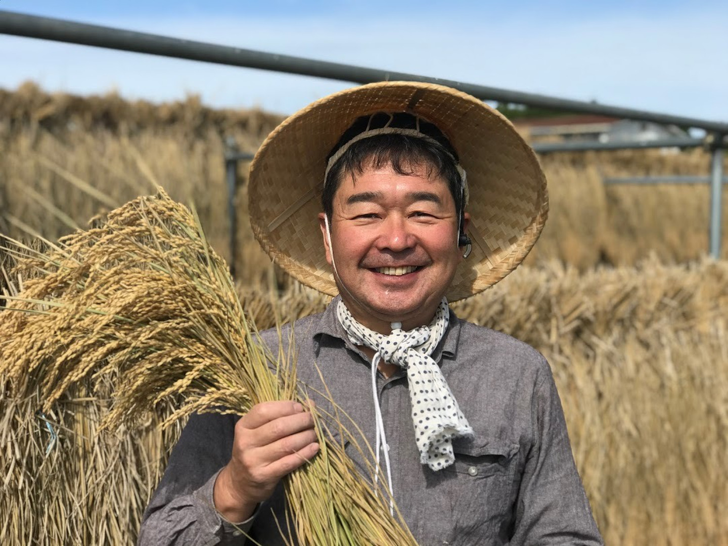 超お買い得！】 イネ 農業技術 農文協 コシヒカリ コメ 農学